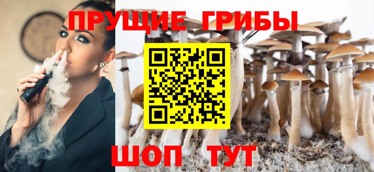 Псилоцибиновые грибы мухоморы Троицк